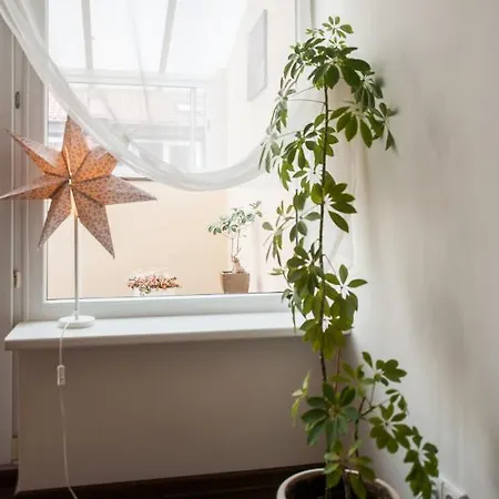 Apartamento V 12 -terrace + 3 Old Town Vilna