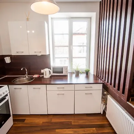 V 12 -terrace + 3 Old Town Apartamento Vilna